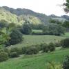 Matlock Bath, Marcin_Henioo