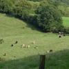 Matlock Bath, Marcin_Henioo