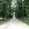 , Marcin_Henioo