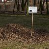 Park Kuronia w Sosnowcu
