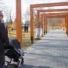 Park Kuronia w Sosnowcu