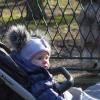 Park Kuronia w Sosnowcu