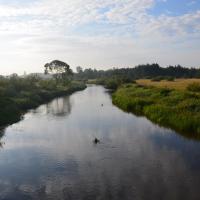 znów Warta nieopodal Radomska, Maciej A