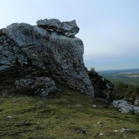, marian