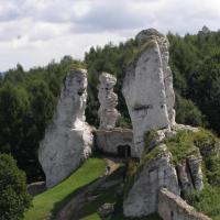Podzamcze, zamek Ogrodzieniec, Joanna