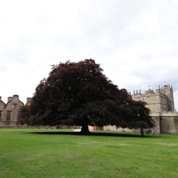 Bolsover, Marcin_Henioo