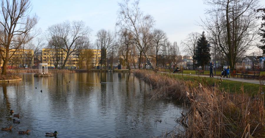 Nie taki był plan_spacer utartymi scieżkami - zdjęcie