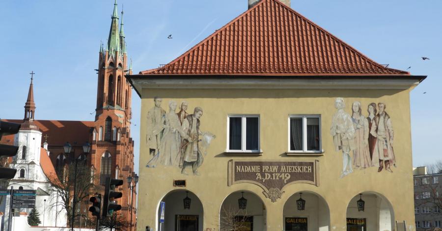 Białystok na kolorowo - murale i papugi - zdjęcie