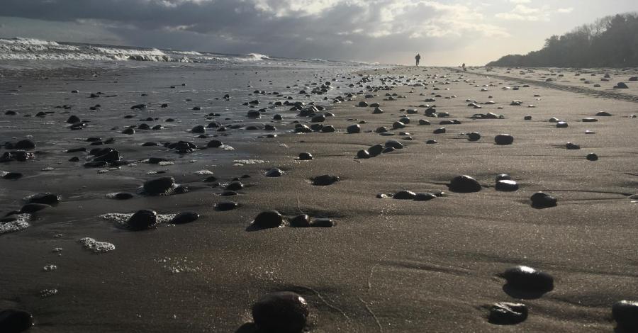 Weekend nad morzem, czyli Sarbinowo, Ustka, Słupsk i Mielno na majowo - zdjęcie