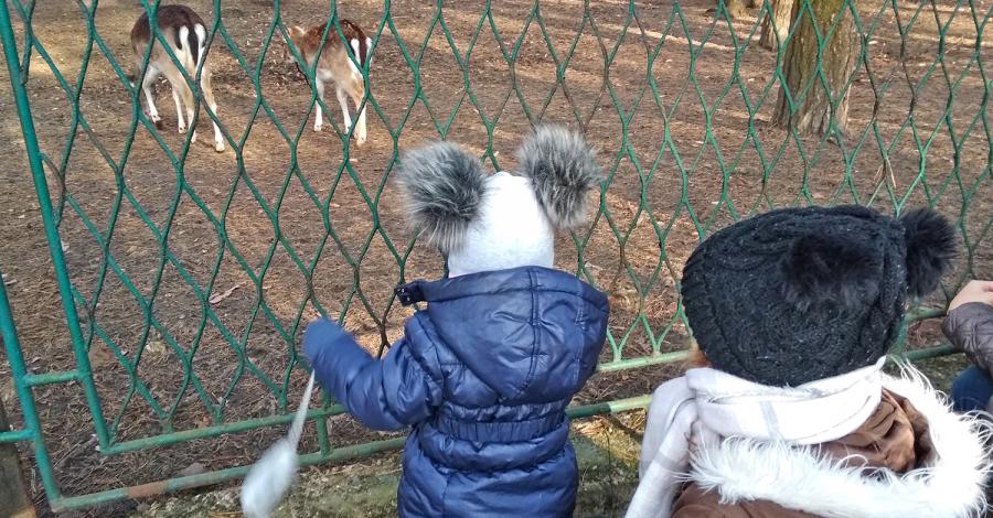 Radocha dla dzieci w sosnowieckim Parku Kuronia - zdjęcie