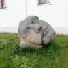 Józefów Roztoczański - , Magdalena