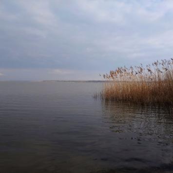 Jezioro Goczałkowickie, EmiZtg