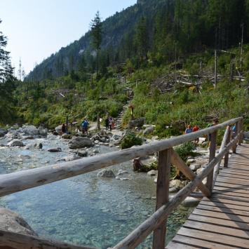 W drodze do Schroniska Teryho, Maciej A