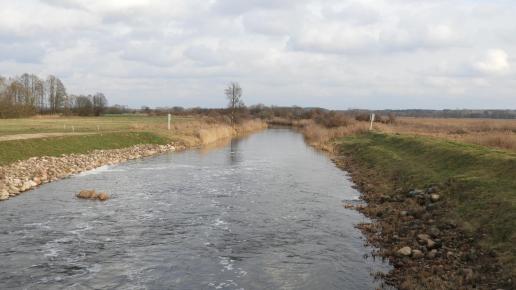 Narew przy jazie w Rzędzianach, Joanna