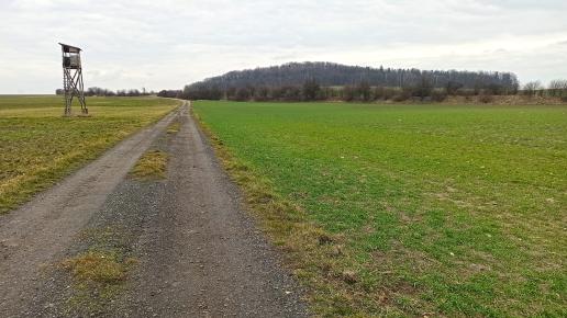 Rezerwat Grojec w Psarach
