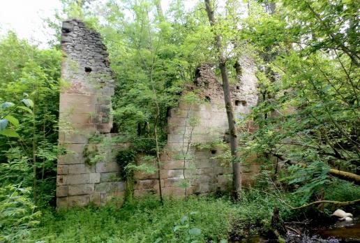 Rezerwat Czartowe Pole - ruiny Papierni, Magdalena