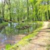 Arboretum Bramy Morawskiej