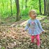 Arboretum Bramy Morawskiej