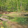 Arboretum Bramy Morawskiej