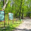 Arboretum Bramy Morawskiej