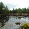 Ogród botaniczny w Bolestraszycach, DominikPL