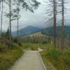 , DominikPL