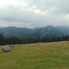 , DominikPL