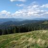 , Marcin M