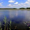 Poleski Park Narodowy - ścieżka Dąb Dominik - Jezioro Moszne, Magdalena