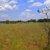 Poleski Park Narodowy - ścieżka Dąb Dominik, Magdalena