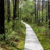 Poleski Park Narodowy - ścieżka Dąb Dominik, Magdalena