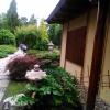 , DominikPL