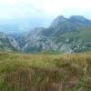 , Marcin M