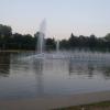 , DominikPL