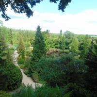 , DominikPL