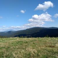 , Marcin M