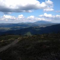 , Marcin M