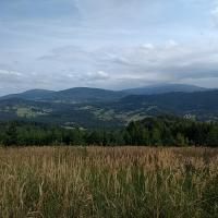 , Marcin M
