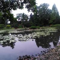 , DominikPL