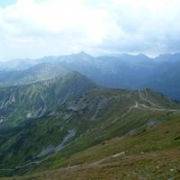 , Marcin M