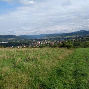 , Marcin M