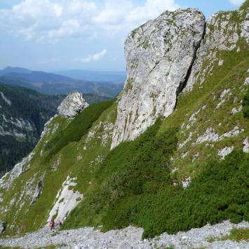 , Marcin M