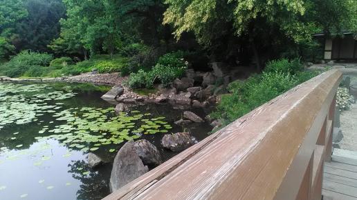 , DominikPL