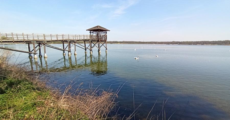 W Rezerwacie Łężczok i w Arboretum Bramy Morawskiej czyli przyrodniczy Racibórz - zdjęcie