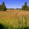 Poleski Park Narodowy - ścieżka przyrodnicza Perehod, Magdalena