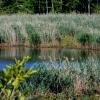 Poleski Park Narodowy - ścieżka przyrodnicza Perehod, Magdalena