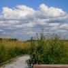 Poleski Park Narodowy - ścieżka dydaktyczna Czahary, Magdalena