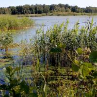 Poleski Park Narodowy - ścieżka przyrodnicza Perehod, Magdalena