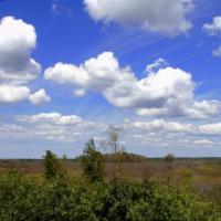 Poleski Park Narodowy - ścieżka przyrodniczo-historyczna Obóz Powstańczy, Magdalena