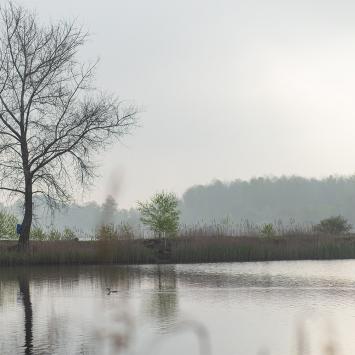 Żabie Doły